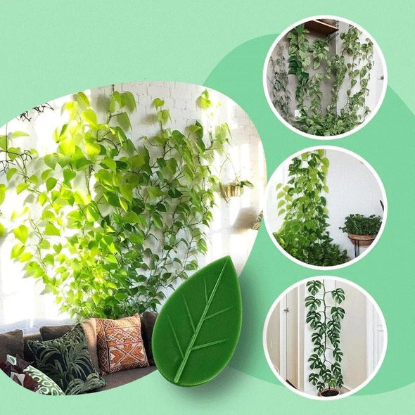 🔴¡PRODUCTO NUEVO! SOPORTE PARA PLANTAS TREPADORAS 🌱🍃💯