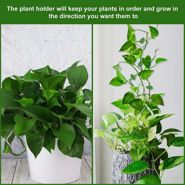 🔴¡PRODUCTO NUEVO! SOPORTE PARA PLANTAS TREPADORAS 🌱🍃💯