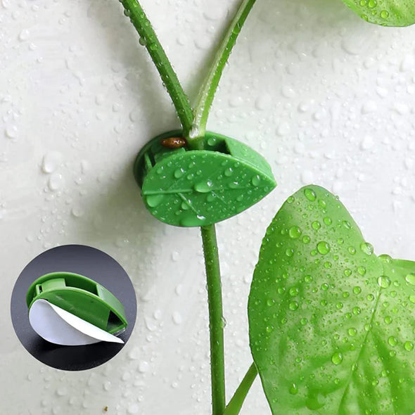 🔴¡PRODUCTO NUEVO! SOPORTE PARA PLANTAS TREPADORAS 🌱🍃💯