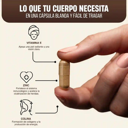 BIORES - SUPLEMENTO DE HÍGADO DE RES, AUMENTA TU FUERZA Y MEJORA TU DIGESTIÓN - 30 CÁPSULAS FÁCILES DE TRAGAR