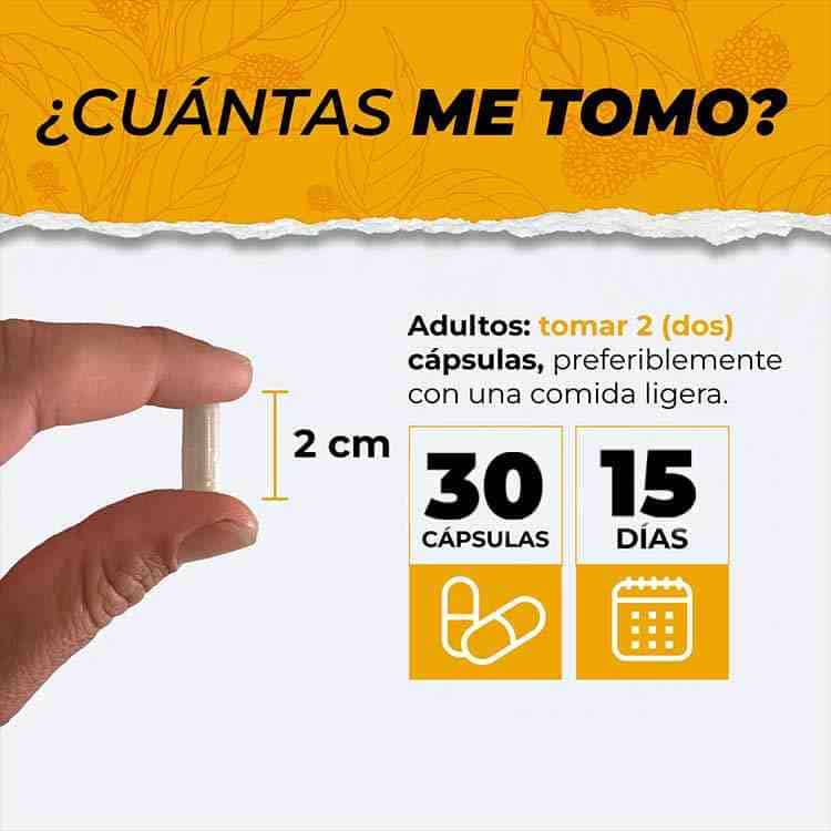 DESPIERTA TU MENTE CON ALPHA BRAIN