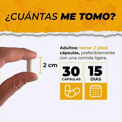 DESPIERTA TU MENTE CON ALPHA BRAIN