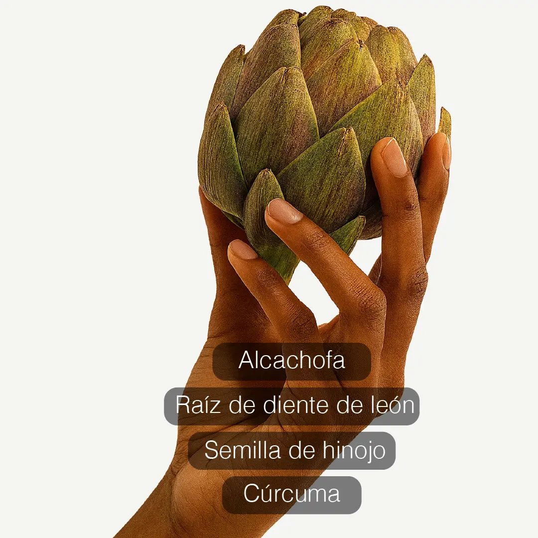 ¡PRODUCTO IMPORTADO 🇺🇲! DETOX PATCHES - DESINTOXICA DESPUÉS DE LOS EXCESOS