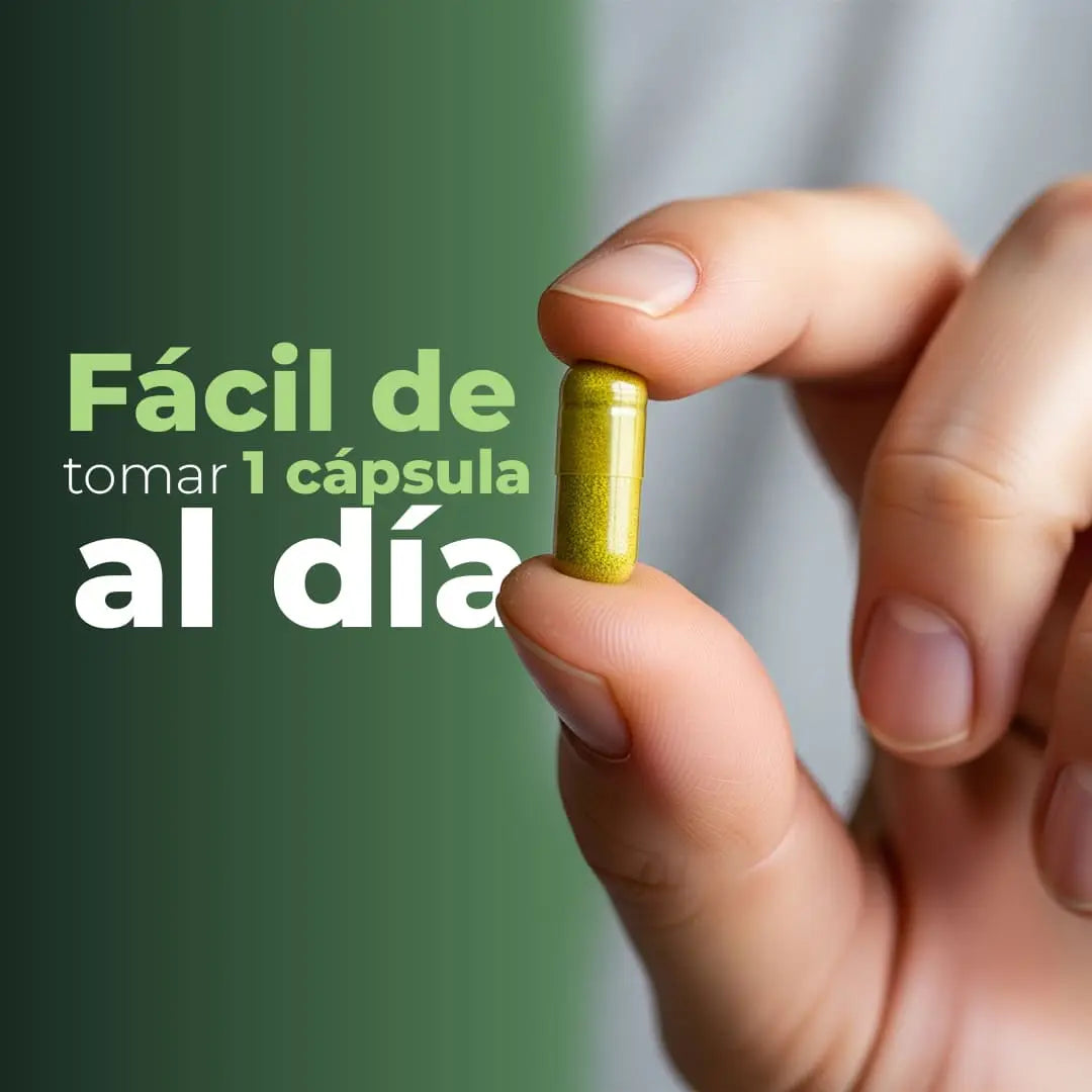 LIVER DETOX &amp; REPAIR – LIBERA Y REVITALIZA TU HÍGADO