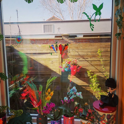 ADICIONAL COLGANTE DE AVES PARA VENTANA