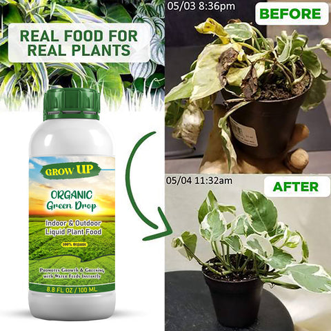 ¡VENTA CALIENTE! 🎁 FERTILIZANTE- AMA TUS PLANTAS- GROW UP- FUNELISH